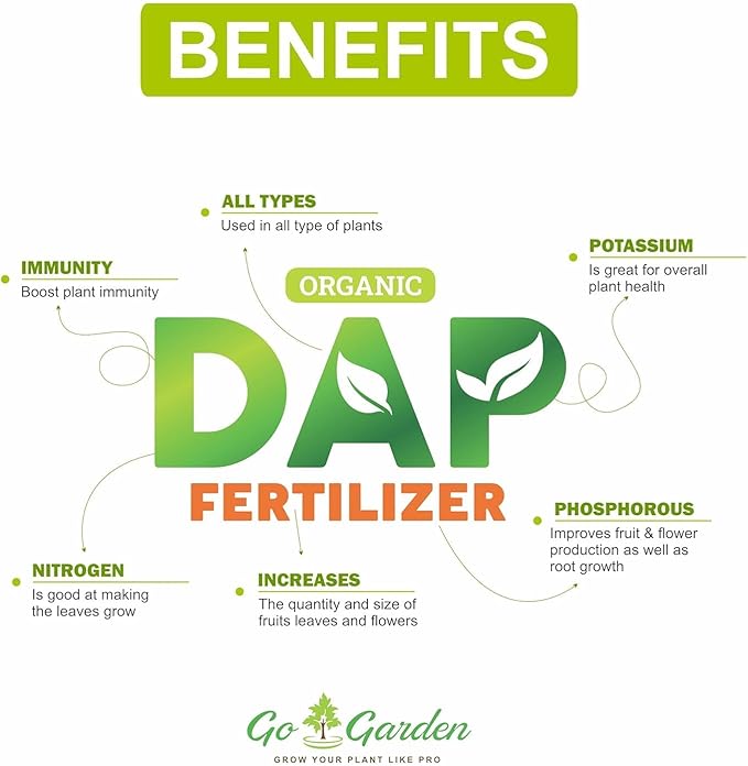 Go Garden Fertilizer for All Plants (2 Kg All Purpose Fertilizer) | Mixed Fertilizer for House Plants | Garden Fertilizer: 2 Kg All-Purpose Blend for Thriving House Plants Powder