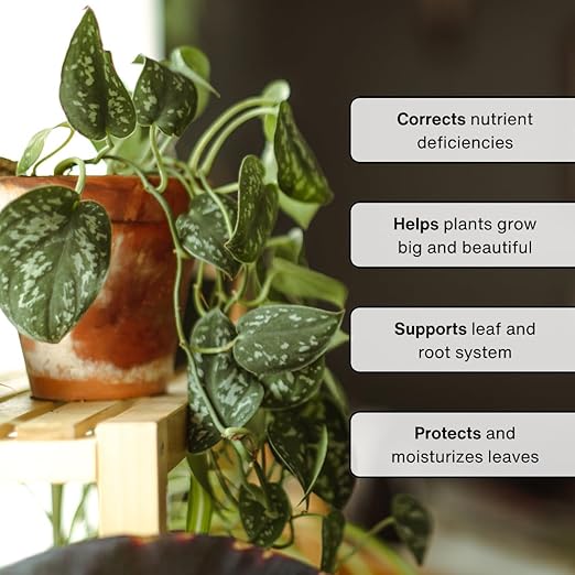 Organic Leaf Wellness Spray for Plants - Protect &amp Nourish Your Plants w/Chitosan Yucca Extract Liquid Kelp and Essential Oils - 8 oz House Plant Spray Bottle