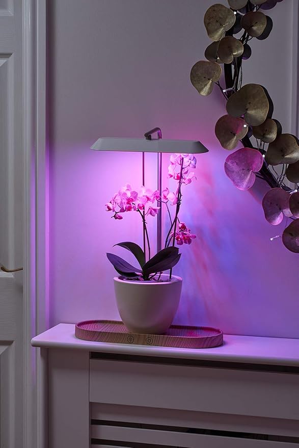 Auraglow LED Plant Grow Light with Hydroponic Full Spectrum Grow Mode &amp Display Lamp for Herbs Fruit Veg &amp Indoor Plants
