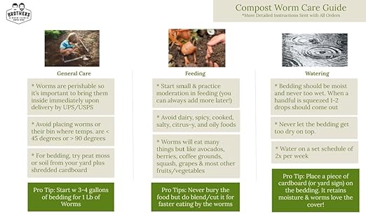 BROTHERS WORM FARM - 1/4 LB (~250) Red Wiggler Composting Worm Blend. Best Species for Composting Gardens Bins and Creating Worm Castings at Home.