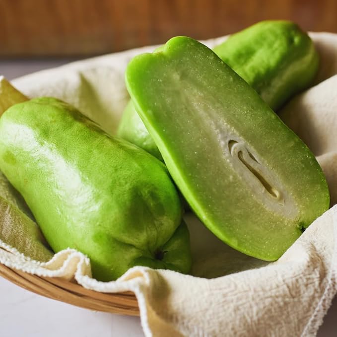 Chayote Squash Plant Live Chayote Plant Edible Vegetable Vine Plants 7 to 9 Inc Tall Gallon Pot Outdoor Indoor Garden