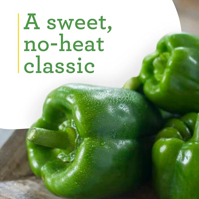 Bonnie Plants Green Bell Pepper Live Vegetable Plants - 4 Pack Non-GMO 2 - 3 Ft Plants 4.5 x 4 Inch Pepper Size