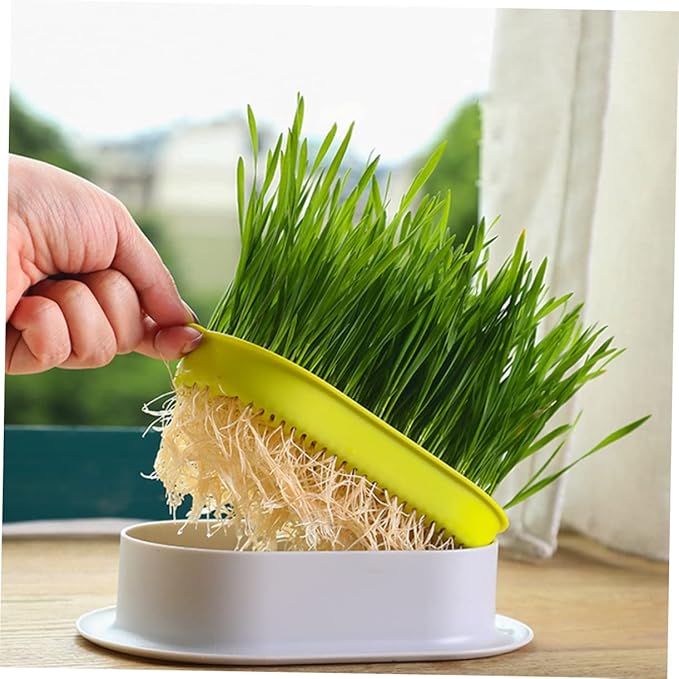 VICASKY 4Pcs Hydroponic Catnip Planter Box Set Soilless Cat Grass Growing Kit Detachable Tray for Indoor Cats Creative Design