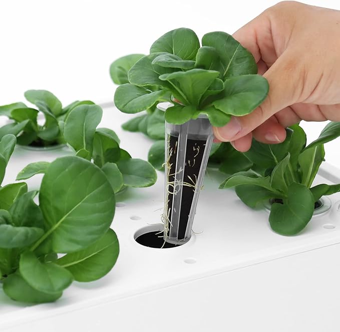 iDOO Hydroponics Growing System Kit &amp Growth Sponges 60 Pcs