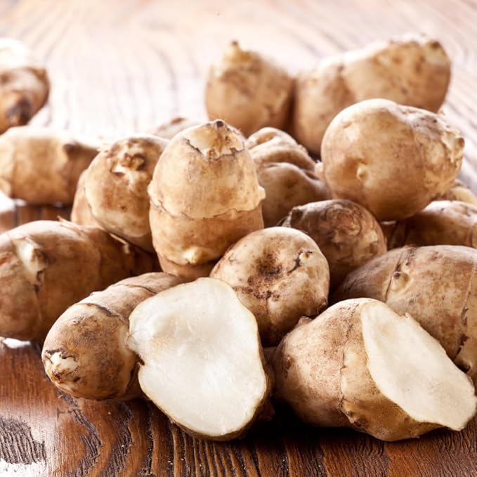 8 Oz Jerusalem Artichoke Tubers for Planting High Yield Sunchoke Rhizomes Bulbs for Planting Cold Hardy Gardening Indoor Outdoor