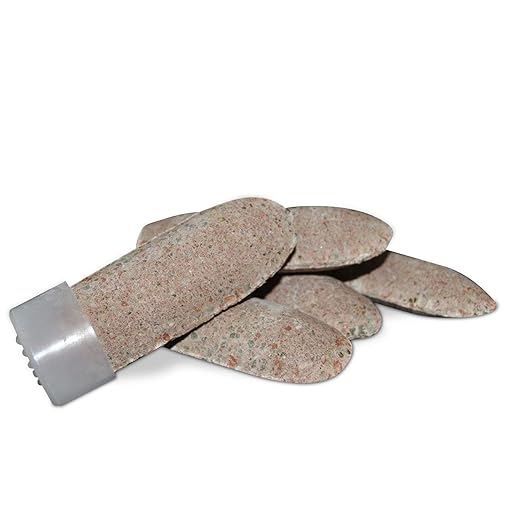Jobe's Fruit &amp Citrus Fertilizer Spikes 8-11-11 Time Release Fertilizer for All Fruit Trees 5 Spikes per Clear Bag (Pack of 2)