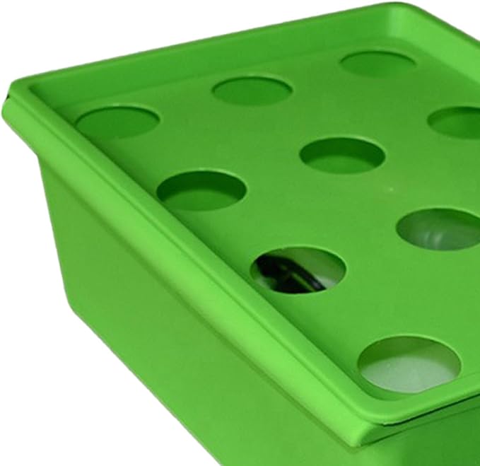 Hydroponic System Growing Box Hydroponic System Planting Container 12 Holes Hydroponics Grower Box for Home Indoor