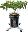 P Scrog Primary Portable Kit (Exceptional Value 6 Pack Save 15%)