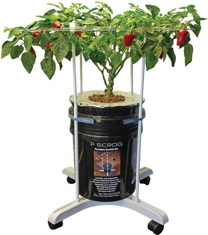 P Scrog Primary Portable Kit (Exceptional Value 6 Pack Save 15%)