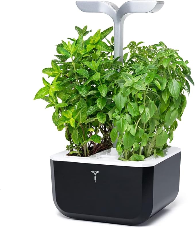 Veritable EXKY Smart Soft Black - Hydroponics Growing System Indoor Garden w/LED Grow Light 2 Organic pre-seeded Lingots® Refills Included. Self Irrigation w/Blinking Alert. Made in France
