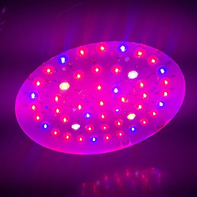 Grow Light - BANGWEIER 150W Brightness 50pcs High Power Full Spectrum Led UFO Grow Light for Plants Flowering Lighting