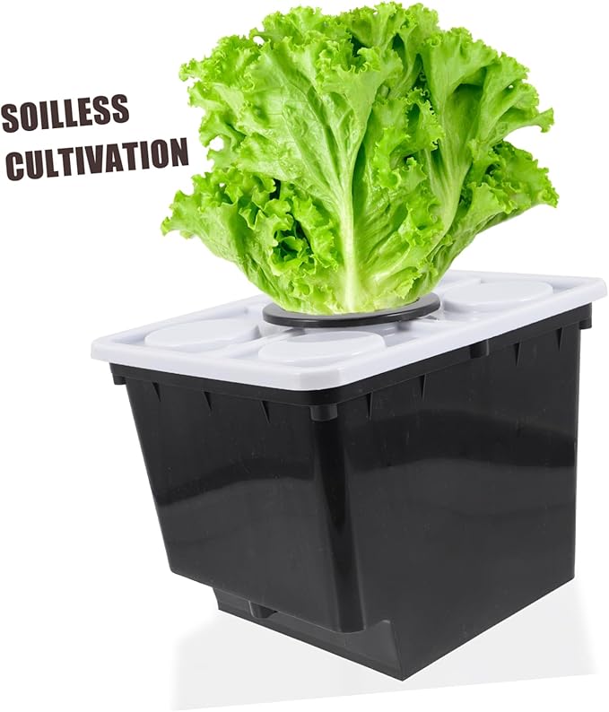 Hydroponic System for Greenhouse Planting Suitable for Vegetables Fruits and Flowers Durable Plastic Dutch Planter Multiple Planting Spaces