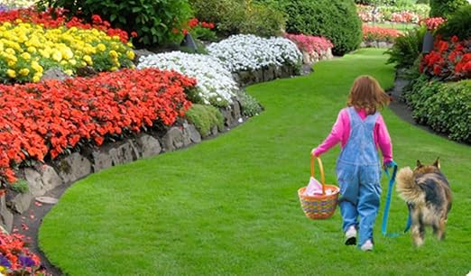 Espoma Turf-Tone All Season Organic Lawn Food with Iron &amp Exclusive Bio-Tone Formula - Slow Release Long Lasting Feeding for All Lawns - Granular Lawn Fertilizer for All Seasons - Made In USA 14