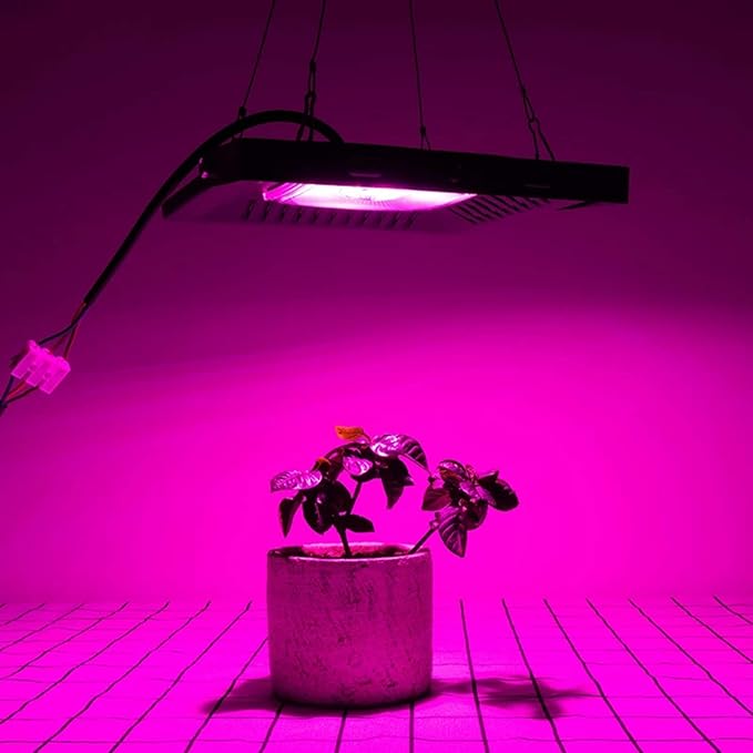 Full Spectrum Lamp LED Growing Light 50W 100W 150W AC 110V 220V High Power Outdoor Waterproof for Greenhouse Hydroponics Seeding (Color:100W)