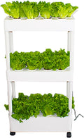 Hydroponics GardenIndoor Vertical Farming Garden Planter Smart Herb Garden with Timing Plug Automatic Watering for Home Indoor Gardening System(Without Light3 Layer)