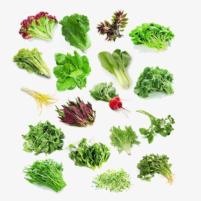 Hydroponics Growing System Herb Garden Kit Indoor with Led Grow Light Modes Smart Timer Starter Kit Hydroponic Indoor Garden