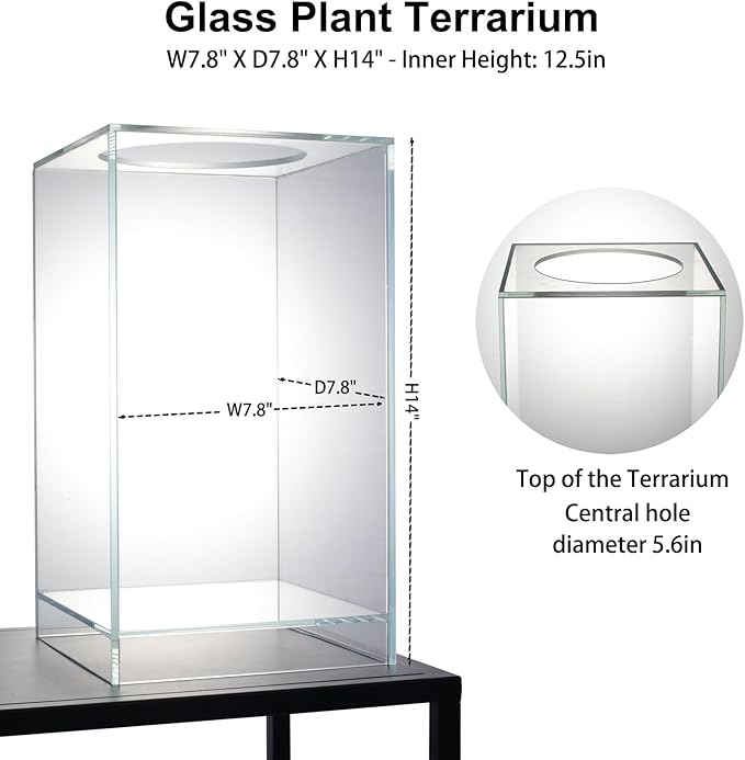 Desktop Glass Plant Terrarium with Grow Light(L7.8 W7.8 H14) for Succulent Moss Miniature Gardening Landscape Betta Fish Tank Indoor Plant Growth Office Home Decoration (TimeControlled)