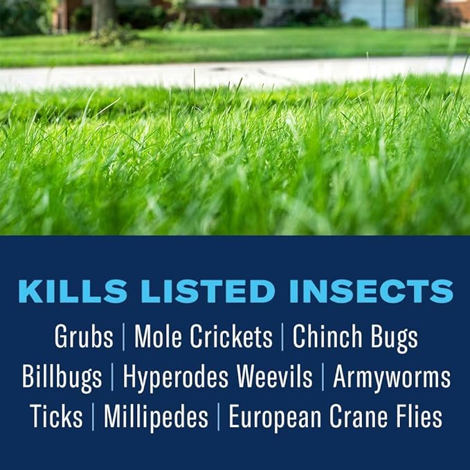 BioAdvanced Season Long Grub Control Granules - Kills Grubs Mole Crickets Cinch Bugs and More - Creates Protective Zone - 10 lb Bag