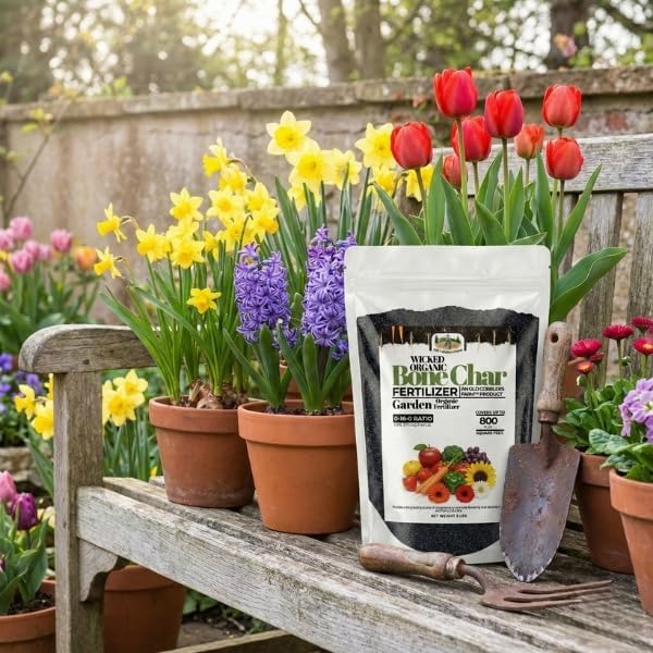 Old Cobblers Farm™ Wicked Organics Bone Char – Balanced Nutrition for Blueberries &amp Acid-Loving Plants – Supports Strong Roots Blooms &amp Fruit Production (5 lbs | 10 lbs | 15 lbs | 20 lbs) (10