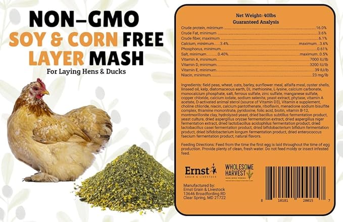 Non-GMO Soy Free-Corn Free Whole Grain Layer Mash (40 lb)