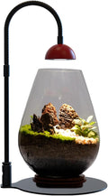Plant Lights for Indoor Growing Grow Lights for Indoor Plants Height Adjustable Plant Growing Lamps Flexible Spectrum Light 3/6/12H Timer Setting Led Grow Light for Small Plants