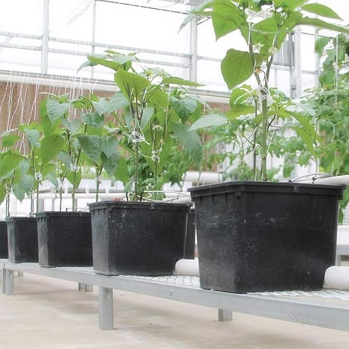 Hydroponic Bato Dutch Bucket 11 Liter with Siphon Elbows 12 x 10 x 9 - 10 Pack