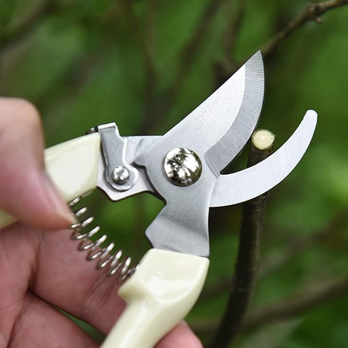 20 Pcs Garden Scissors for Plant Tip Pruning Shears for Cutting Flowers Trimming Plants Bonsai and Fruits Picking (Bypass Blade Pruner)