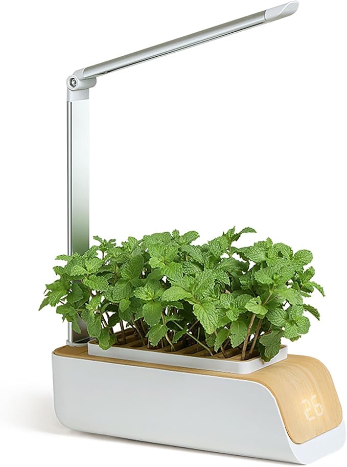 Hydroponic Seed Starter Kit with LED Lights for Growing Herbs and Greens - Indoor Vegetable Planters for Easy Home Gardening