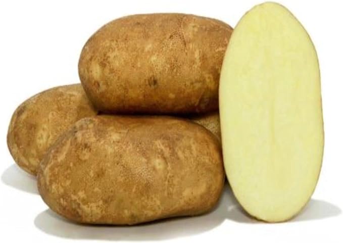 Goldrush Russet Potato Seed for Planting – Versatile &amp High Yielding Perfect for Home Gardens and Farms | Grow Your Own Vegetables Easy to Grow (10 Pack)