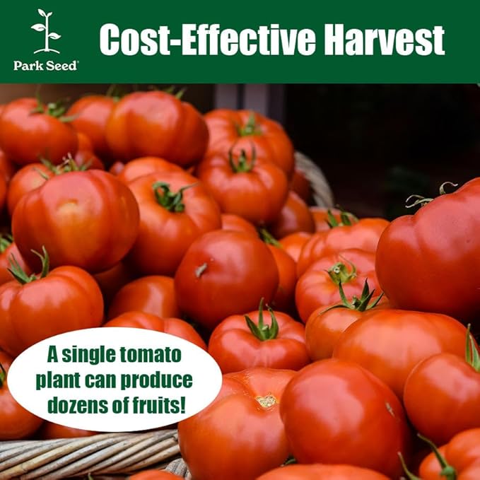 Park Seed Variety of Tomato Seeds Planting Vegetables Easy to Grow Non-GMO Perfect for Harvesting Better Bush Improved Hybrid Pack of 250