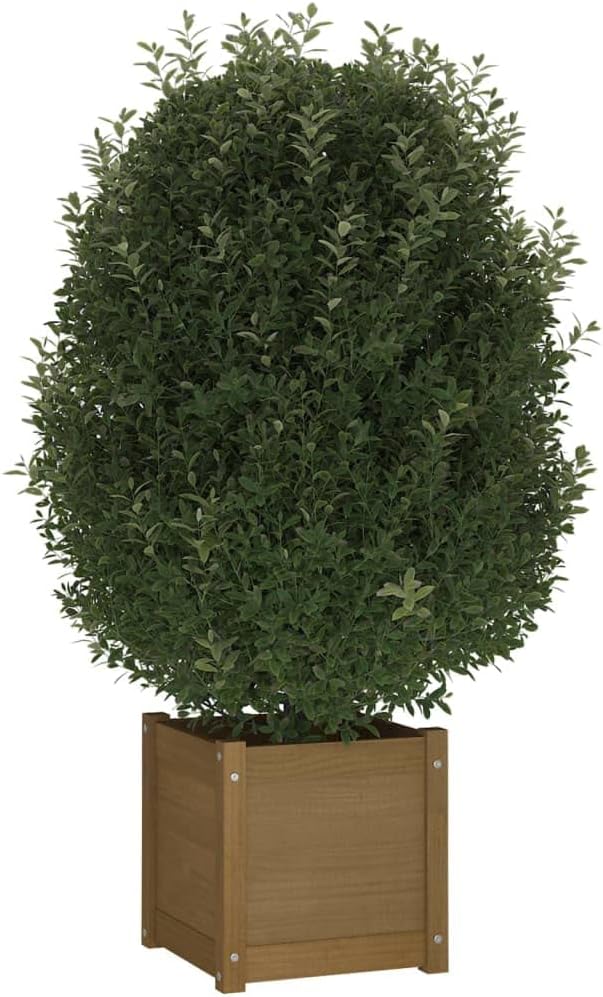 Garden Planters 2 pcs Honey Brown Solid Pine 15.7x15.7x15.7 Raised Garden Bed Outdoor Flower Boxes for Vegetables and Flowers Elevated Planter Box with Drainage for Patio and Balcony