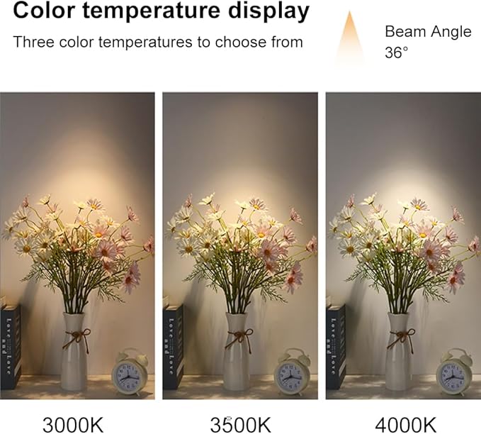 Spotlight White Hardwired SpotlightsAdjustable Directio l Accent Spotlights 10w Exposed Mounted Light for Living Room Artwork Display Lamps
