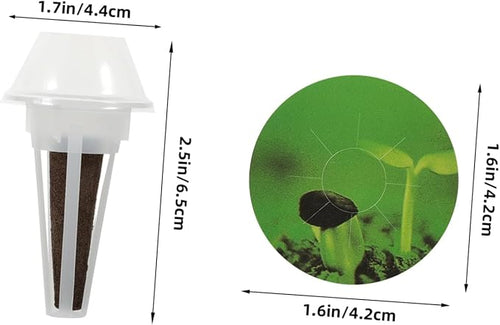 1 Set Hydroponic Plant Baskets with Lids Durable Grow Domes for Indoor Gardening Hydroponics Kit for Vegetables and Flowers Optimal Growth Sponge Included