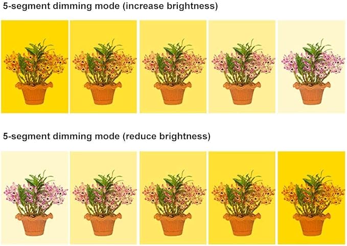 Plant Grow Light 20 LED Growing Light Full Spectrum USB Lamp for Indoor Plants Succulents Seed Starting Household Flower Grow Lights (white #70)