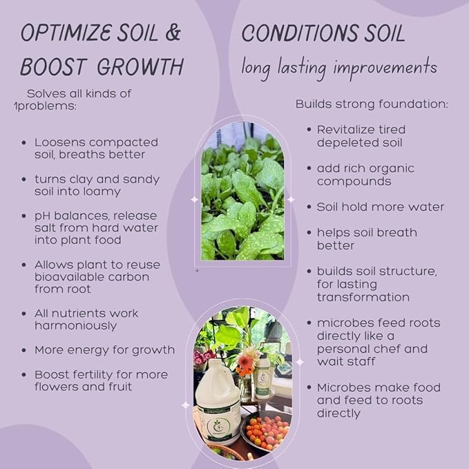 VermisTerra Earthworm Casting Tea - Organic Worm Tea with Kelp - Gallon - Soil Protector and Conditioner Concentrate - Living Enzymes Nourish Plants - All Crops: Vegetables Flowers Fruit and Trees