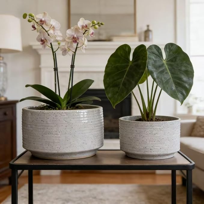 Handmade Ceramic Planter Set of 2 11 8 Diameter White with Vertical Ridges for Aquatic Plants IndoorOutdoor Shelf Table Use Breathable Non Porous Clay