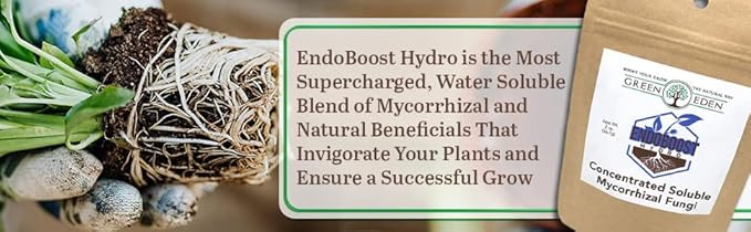 GreenEden EndoBoost Hydro Soluble Mycorrhizal Fungi (7 Species) - Makes 120 Gallons - Mycorrhizae Root Enhancer - Bacteria Inoculant - Hydroponics or Soil