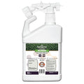 Ready-to-Spray Urea Humate Liquid Fertilizer | (32 fl. oz.) | 20-0-0 | Covers UP to 5000 SQ. FT. | for All Lawn Types | UREA Fertilizer | Quick Green UP | Feeds Foliage &amp Roots | 32 FL OZ |