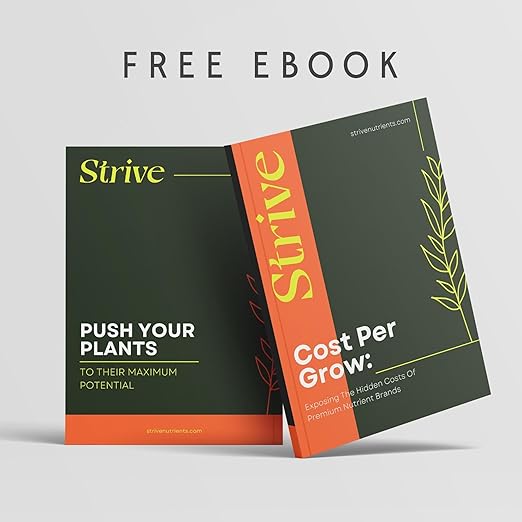 Strive Fertilizer Starter Kit Combo - Veg + Bloom General Hydroponic Nutrients - Indoor Outdoor and Soil Growing Plant Food - Booster for Vegetables Succulents Flowers