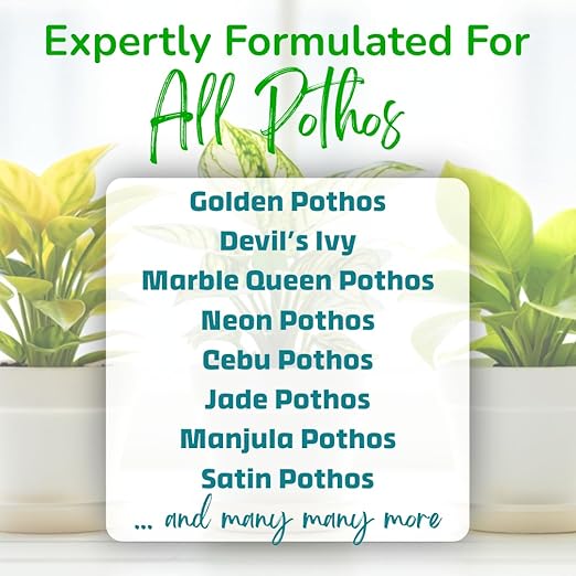 Pothos Fertilizer – Liquid Plant Food for Strong Roots Healthy Growth &amp Lush Foliage – 3-3-3 NPK Formula with Sea Kelp Humic &amp Fulvic Acid – Essential Nutrients for Neon Pothos or Devil’s Iv