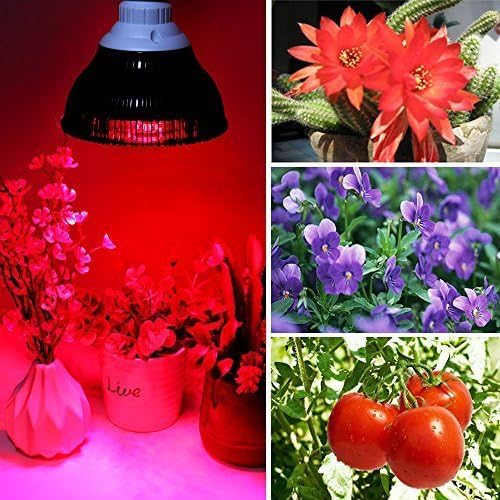 660nm Red Light Bulb 18W (36W Equivalent) LED Grow Light for Indoor Plants Flowering Bloom and Fruiting Grow Spectrum Enhancement