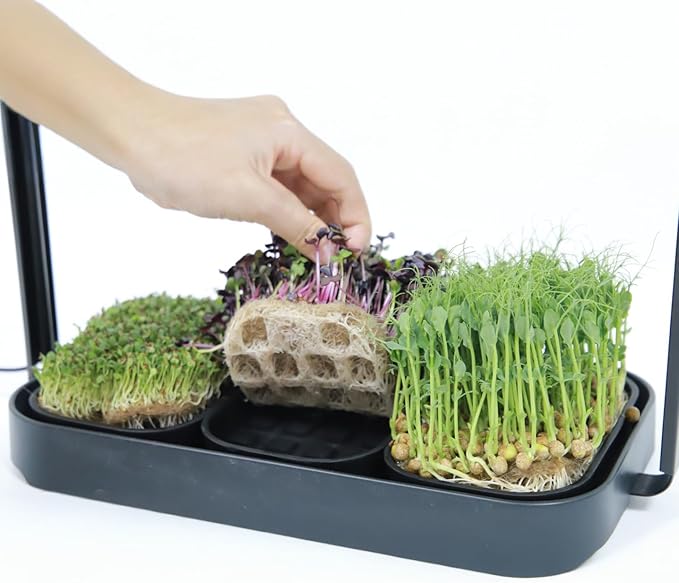 Microgreens Tray &amp Mat Bundle Compatible Grow Lamp 3 Silicone Trays &amp 18 Jute Mats Standalone Microgreens Growing &amp Seed Sprouting Kit (No Lamp No Seeds)