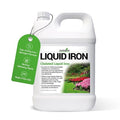 Covington Chelated Liquid Iron Concentrate (1 Gallon) Lawn &amp Garden Liquid Iron &amp Nitrogen Supplement for Plants Shrubs &amp Trees Treats Deficiency Discoloration Stunted Growth &amp Roo