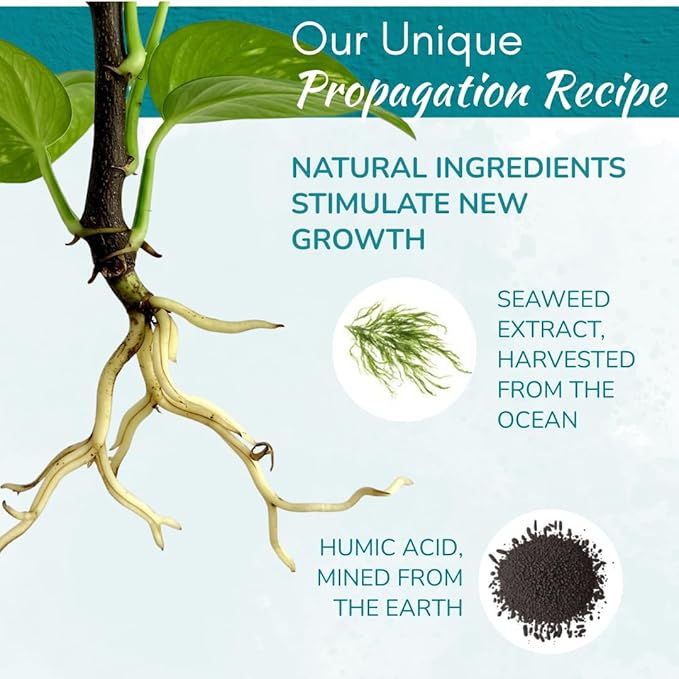 Houseplant Prop Drops - Propagation Promoter &amp Root Growth Hormone | Root Stimulator for Cuttings | Supports Stronger Healthier Plants | Easy-to-Use Liquid Formula for Water &amp Soil Propagatio