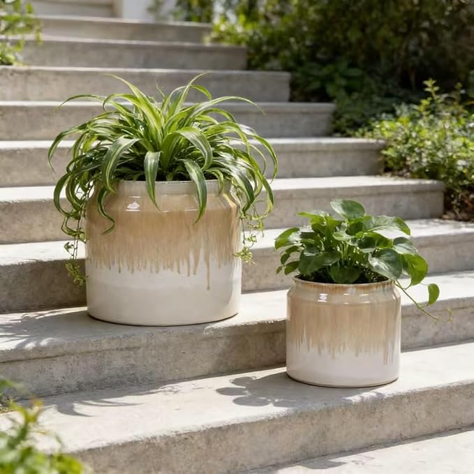 Handmade Non Porous Ceramic Planter Set of 2 6 8 Diameter Beige Drip Glaze for Aquatic Plants IndoorOutdoor Shelf Desk Use Breathable Clay
