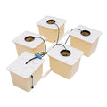 5 Hydroponic Buckets Kit for Plants Top Feed Drip Hydroponics Growing System for Herbs/Tomato/Vegetables DWC System with Submerged Pump (Complete Indoor Hydroponic Gardening Supplies)