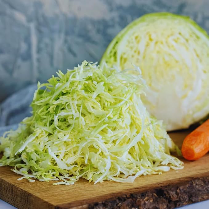 Live Cabbage Plants Cabbage Live Plant Pot Vegetable Plant Growing Garden 3 to 5 Inc Tall