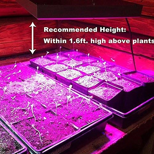 Grow Light - BANGWEIER 50Watt LED Grow Light - Red White And Blue LEDs 50000 Hour Life Span 2900 Lumen