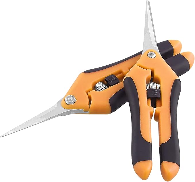 15 PCS 6.5 inch Garden Trimming Scissors Gardening Hand Pruners with Straight Stainless Steel Precision Blades Pruning Shears for Flowers Branches Precise Cuts