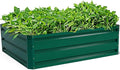 GRAFFY Steel Raised Garden Bed Reinforced Plant Growing Container for Vegetable Flower Herb Plants Outdoor Grass Patio Lawn Garden Beds Box (40 L x 32 W x 12.0 H)